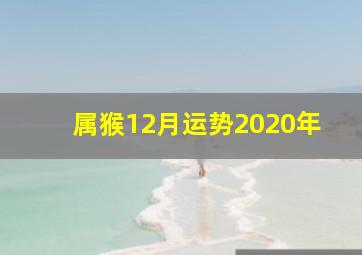 属猴12月运势2020年