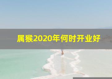 属猴2020年何时开业好