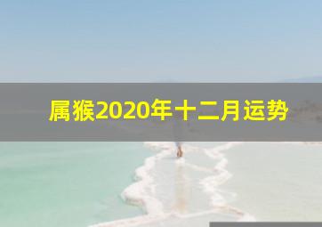 属猴2020年十二月运势