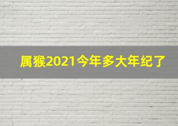 属猴2021今年多大年纪了