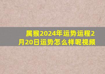 属猴2024年运势运程2月20日运势怎么样呢视频