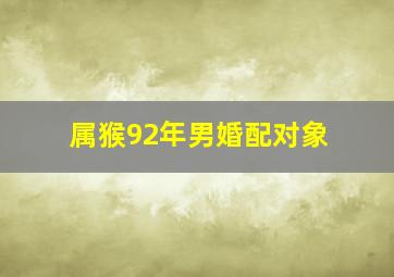 属猴92年男婚配对象