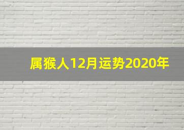 属猴人12月运势2020年