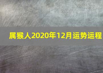 属猴人2020年12月运势运程