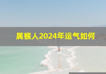 属猴人2024年运气如何