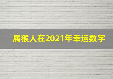 属猴人在2021年幸运数字