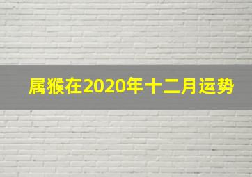 属猴在2020年十二月运势