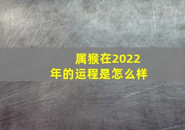 属猴在2022年的运程是怎么样