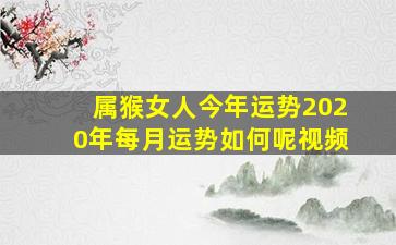 属猴女人今年运势2020年每月运势如何呢视频