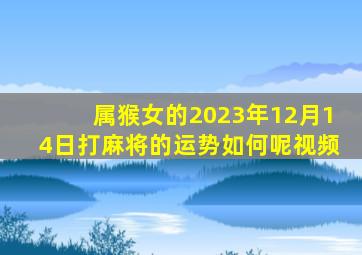 属猴女的2023年12月14日打麻将的运势如何呢视频