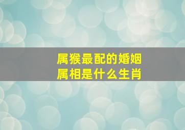 属猴最配的婚姻属相是什么生肖