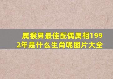 属猴男最佳配偶属相1992年是什么生肖呢图片大全