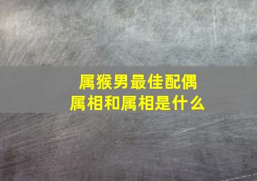 属猴男最佳配偶属相和属相是什么