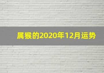 属猴的2020年12月运势