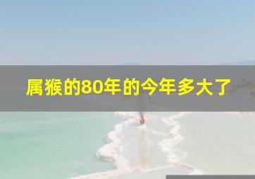 属猴的80年的今年多大了