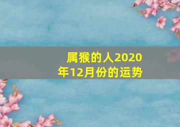 属猴的人2020年12月份的运势