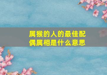 属猴的人的最佳配偶属相是什么意思