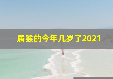 属猴的今年几岁了2021