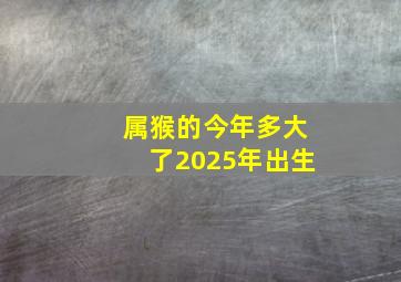 属猴的今年多大了2025年出生