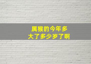 属猴的今年多大了多少岁了啊