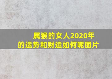 属猴的女人2020年的运势和财运如何呢图片