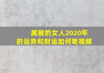 属猴的女人2020年的运势和财运如何呢视频