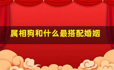 属相狗和什么最搭配婚姻