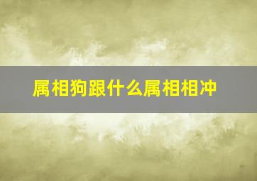 属相狗跟什么属相相冲