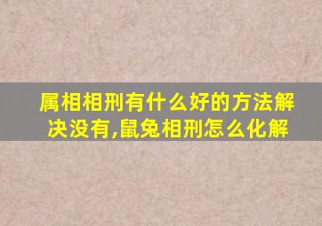 属相相刑有什么好的方法解决没有,鼠兔相刑怎么化解