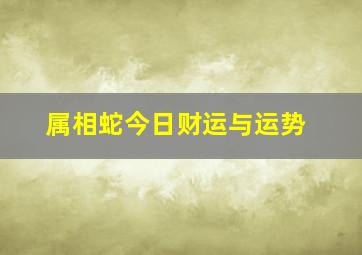 属相蛇今日财运与运势