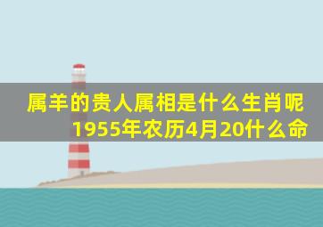 属羊的贵人属相是什么生肖呢1955年农历4月20什么命