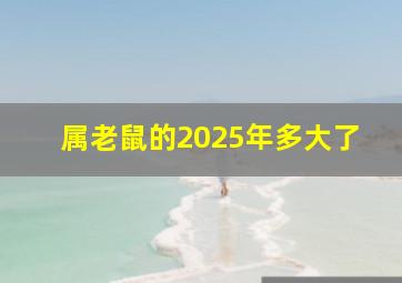 属老鼠的2025年多大了