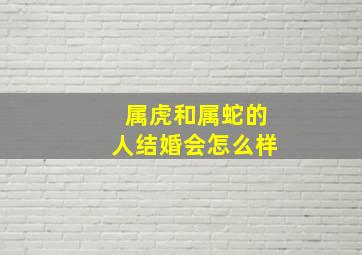 属虎和属蛇的人结婚会怎么样