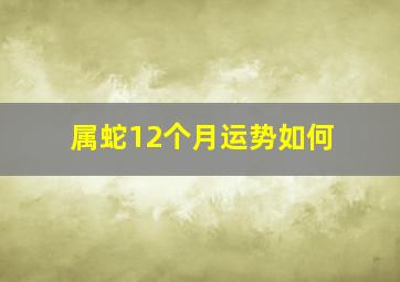 属蛇12个月运势如何