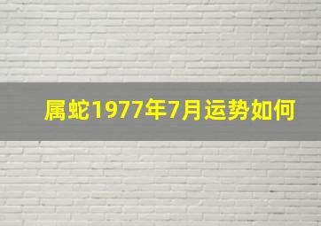 属蛇1977年7月运势如何