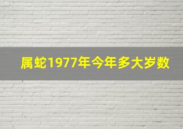 属蛇1977年今年多大岁数