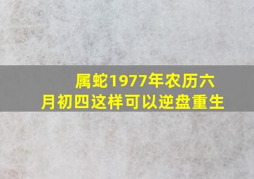 属蛇1977年农历六月初四这样可以逆盘重生