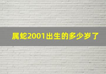 属蛇2001出生的多少岁了