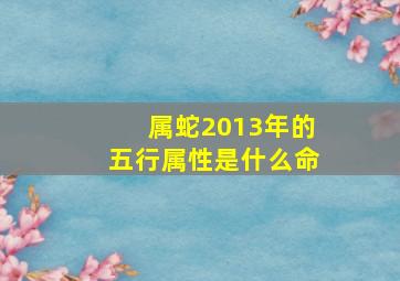 属蛇2013年的五行属性是什么命