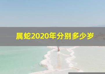 属蛇2020年分别多少岁