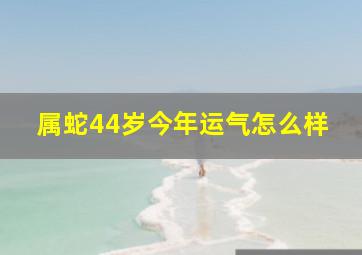 属蛇44岁今年运气怎么样