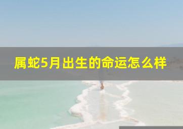 属蛇5月出生的命运怎么样