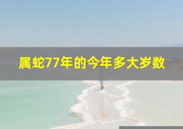 属蛇77年的今年多大岁数