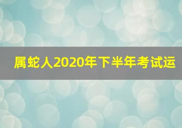 属蛇人2020年下半年考试运