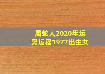 属蛇人2020年运势运程1977出生女