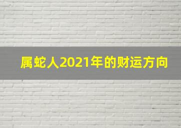 属蛇人2021年的财运方向