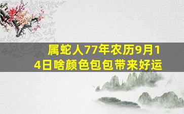 属蛇人77年农历9月14日啥颜色包包带来好运