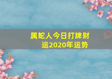 属蛇人今日打牌财运2020年运势