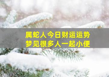 属蛇人今日财运运势梦见很多人一起小便