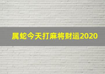 属蛇今天打麻将财运2020